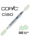 Copic Ciao spektrumgrön G02