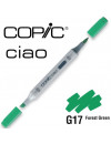 Copic Ciao Forest Green G17