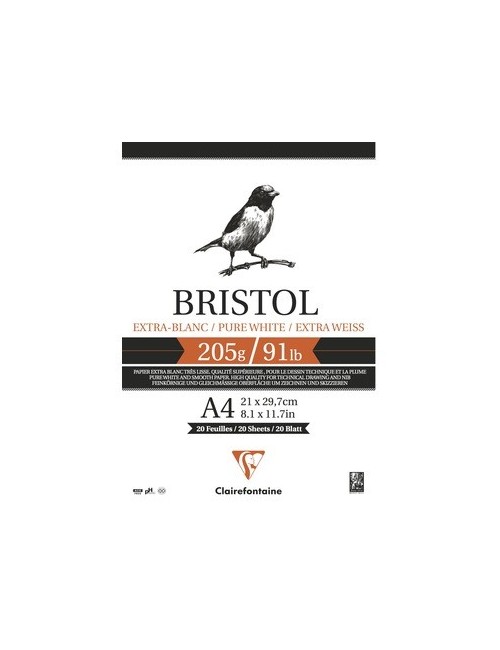Cartone Bristol 21x29,7 20f...